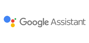 Google Assistant